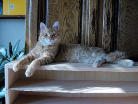 Mon gros b&eacute;b&eacute;